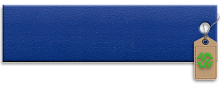 0125 BS Королевский Синий 19x0,4 мм