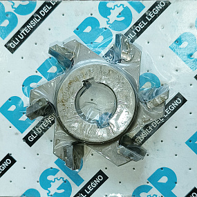 Фреза фасонная с НМ напайками BSP 73х16х20мм +2 Z6R3 для узлов RI-10, RS Арт. 1001001S054/055
